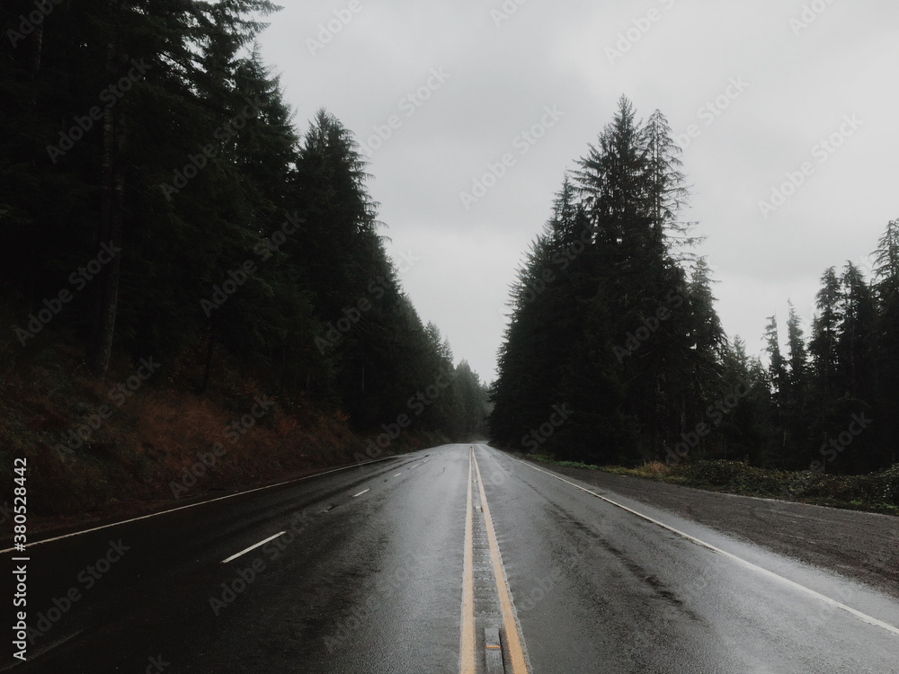 Center of the Road Center of the Road