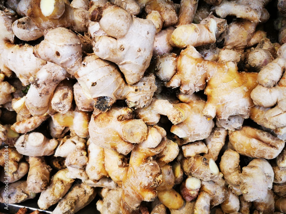 Ginger (Zingiber officinale) is a flowering plant whose rhizome, ginger root or ginger, is widely used as a spice and a folk medicine. Ginger (Zingiber officinale) is a flowering plant whose rhizome, ginger root or ginger, is widely used as a spice and a folk medicine.