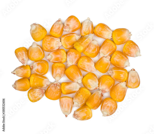 Corn isolated on white background, top view