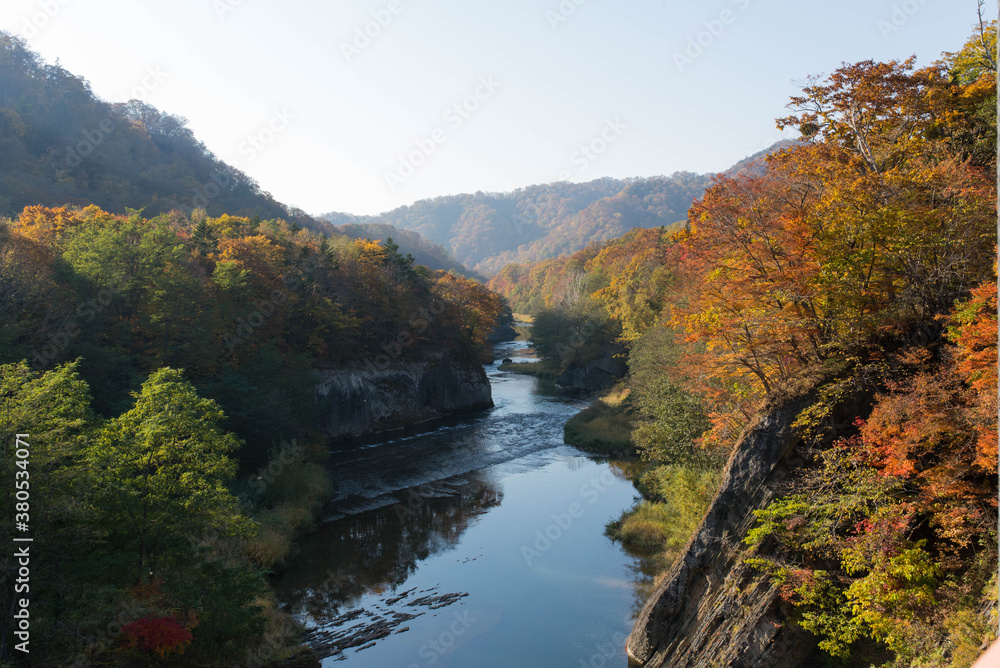 紅葉の渓谷(夕張川) 紅葉の渓谷(夕張川)