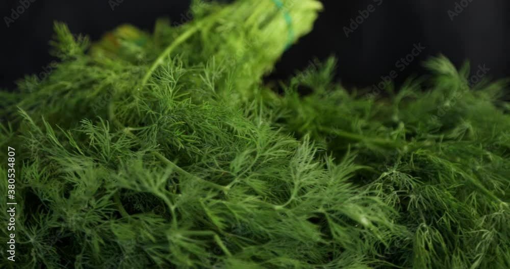 Fresh dill branches rotating on black background Fresh dill branches rotating on black background