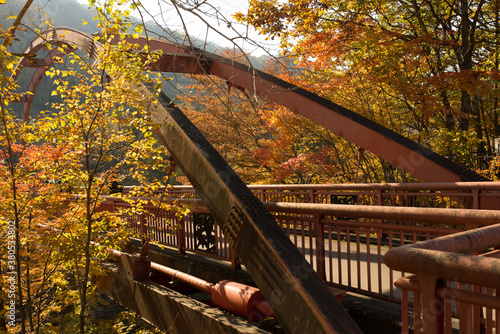 紅葉の葉に囲まれた千鳥橋