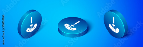 Isometric Pickled cucumber on a fork icon isolated on blue background. Blue circle button. Vector Illustration.
