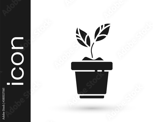 Grey Plant in pot icon isolated on white background. Plant growing in a pot. Potted plant sign. Vector Illustration.