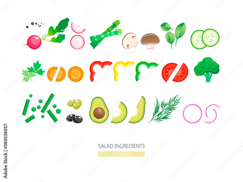 Salad vegetables and spices isolated on white background. Healthy lifestyle and vegetarian eating concept. Vegan food cooking with raw vegetables EPS 10 vector illustration.