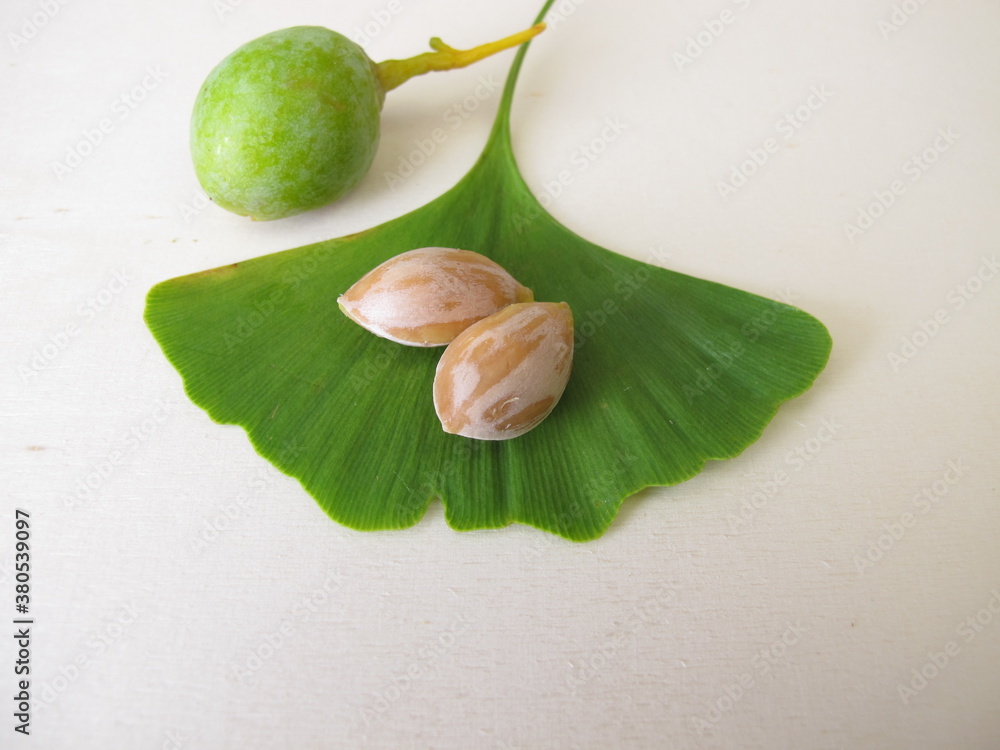 Ginkgo seeds or nuts and a leaf from the tree, Ginkgo biloba Stock