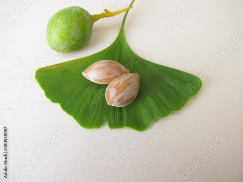 Ginkgo seeds or nuts and a leaf from the tree, Ginkgo biloba