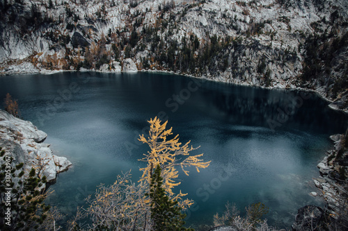 Orange larch tree against background of blue alpine lake photo