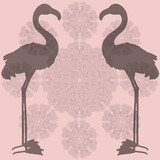 
Flamingo in silhouette, pink background, pattern
