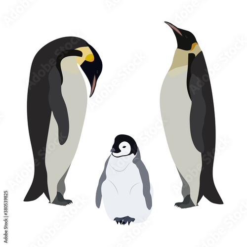 Vector illustration of a family of penguins