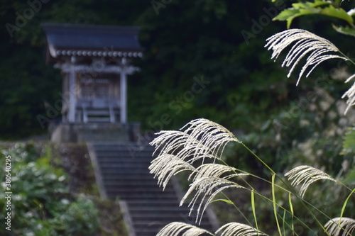 秋を感じる登山道入り口