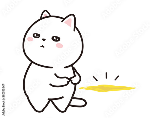 おしっこに失敗をして落ち込む猫