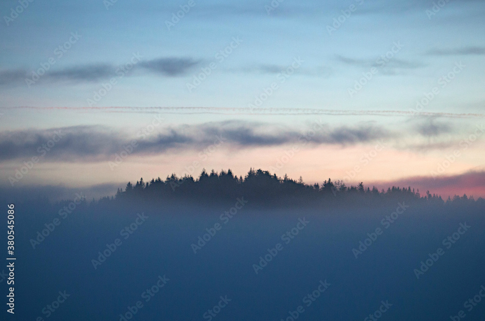 Island of treetops surrounded by fog Island of treetops surrounded by fog