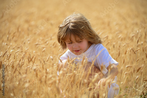 Kids farmer on field. Wheat is a cereal plant, the grain of which is ground to make flour. Small boy child enjoy childhood years on farm. Farming and agriculture cultivation