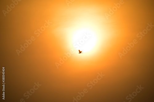 sunrise
