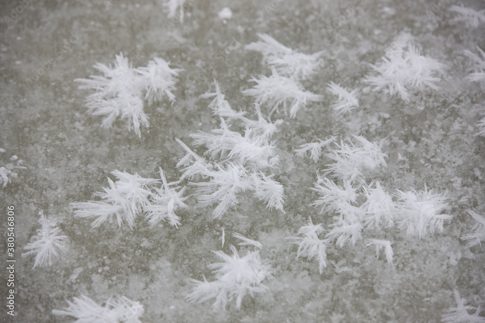 Antarctica very large snowflakes on a cloudy winter day Antarctica very large snowflakes on a cloudy winter day