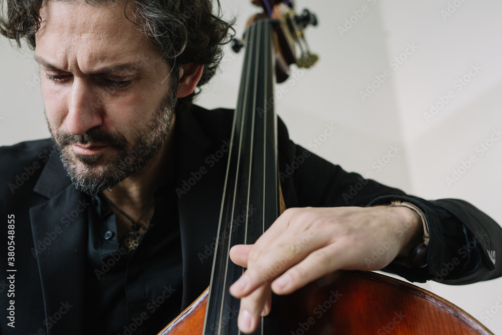 Portrait of double bass musician Portrait of double bass musician