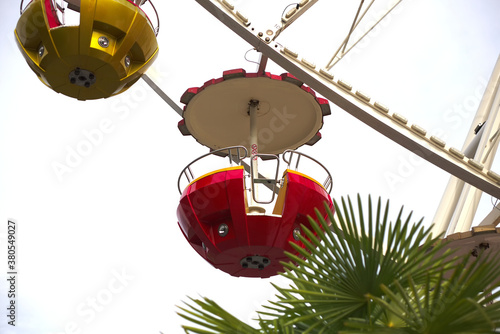 Ferris wheel seat can be seen between the palm. look afar.