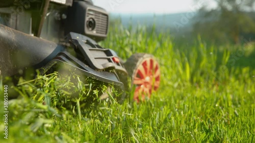 SLOW MOTION, CLOSE UP, LOW ANGLE, COPY SPACE, DOF: Grass clippings get spewed out of a mower pushed around by unknown gardener. Motorized lawnmower gets pushed along an overgrown lawn on sunny day.