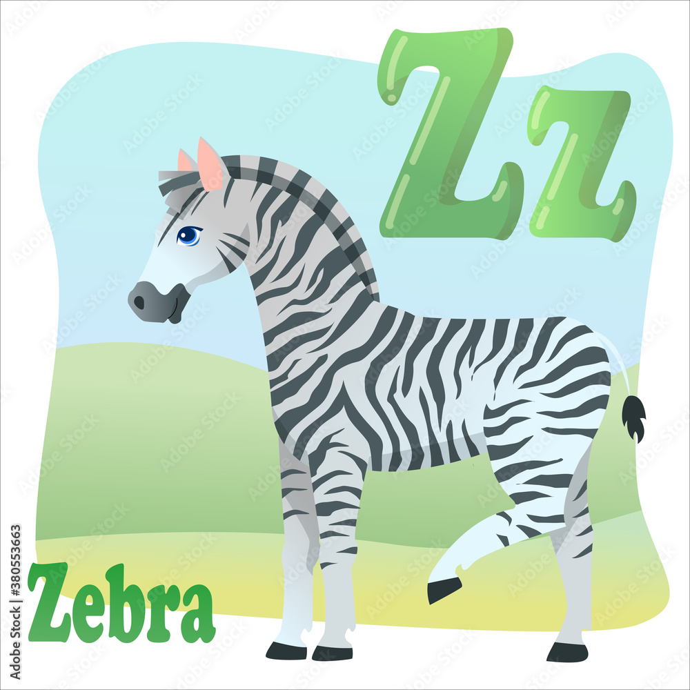 Obraz premium Letter Z, cute zebra on a field background, striped horse, african animal drawn in cartoon style. Children's English alphabet. Vector illustration isolated on white background