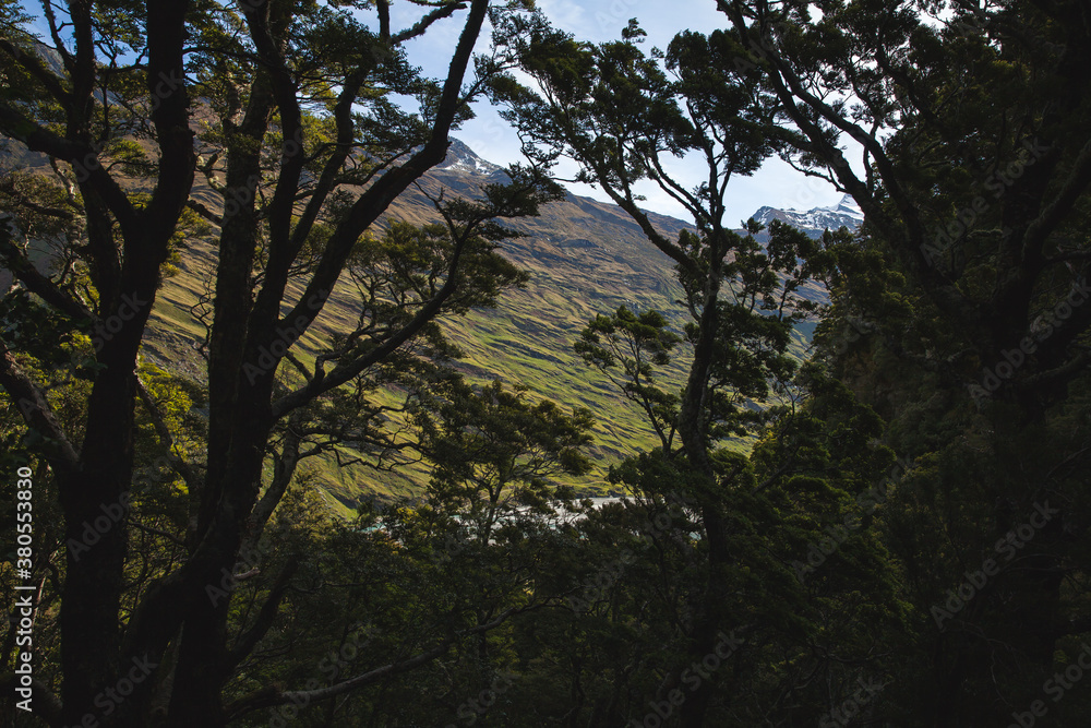 Mountain peak in New Zealand framed by trees. Mountain peak in New Zealand framed by trees.
