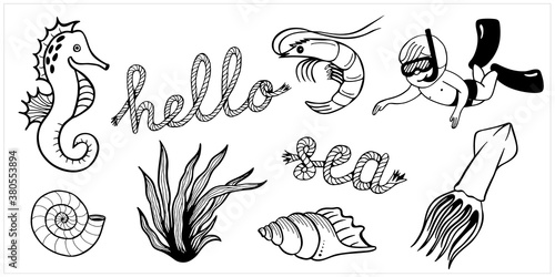 Marine set Hello sea  hand drawn isolated vector illustration