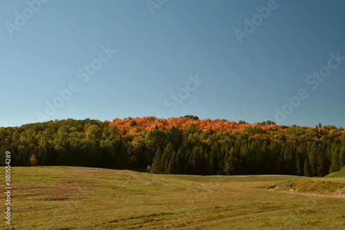 Fall colors in Canadian forest, Quebec photo