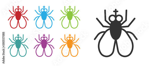 Black Insect fly icon isolated on white background. Set icons colorful. Vector.