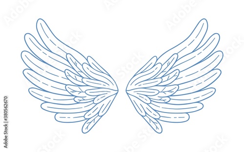Simple hand drawn feather open wings vector illustration. Monochrome decorati...