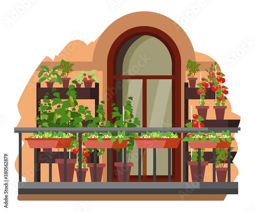 Balcony with plants at home background. Flowers, vegetables, tomatoes at house garden. Homemade summer produce vector illustration. Place for relaxing and calming leisure activity