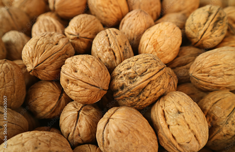 Heap of Dried Walnuts for Background or Banner Heap of Dried Walnuts for Background or Banner
