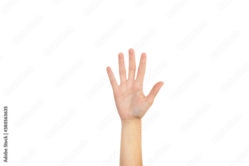 Palma de la mano de una mujer abierta en primer plano sobre un fondo blanco liso y aislado. Vista de frente. Copy space Palma de la mano de una mujer abierta en primer plano sobre un fondo blanco liso y aislado. Vista de frente. Copy space