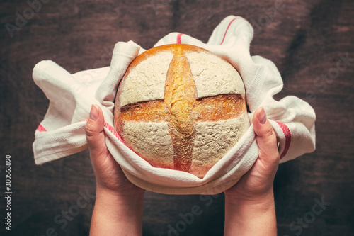 Canvas Print female hands holds freshly baked sourdough bread in napkin from oven on blue woo