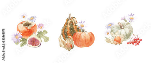 Fototapeta Naklejka Na Ścianę i Meble -  autumn compositions with watercolor pumpkins, autumn fruits and berries. Hand-painted illustrations are great for decorating packaging, greeting cards, invitations, promotional items.