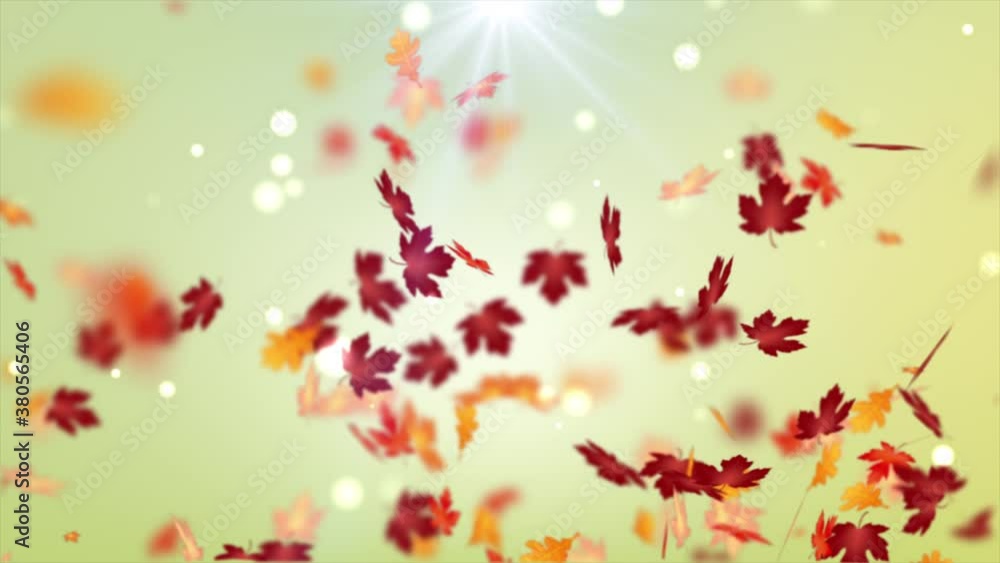 Abstract background for the autumn concept, falling maple leaf and dry leaf, shallow depth of field with blur effect Abstract background for the autumn concept, falling maple leaf and dry leaf, shallow depth of field with blur effect