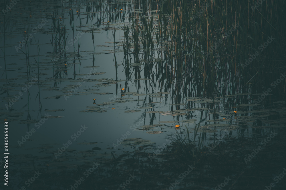 small narrow river flowing through the meadow on a gray misty day in closeup small narrow river flowing through the meadow on a gray misty day in closeup