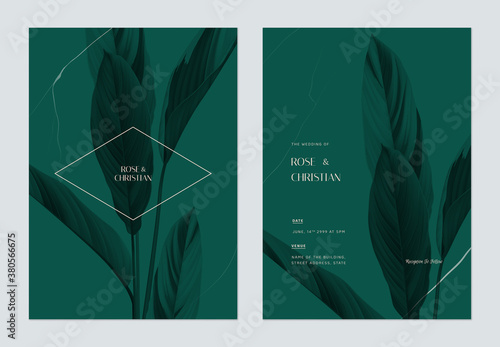 Foliage wedding invitation card template design, Ctenanthe oppenheimiana on green