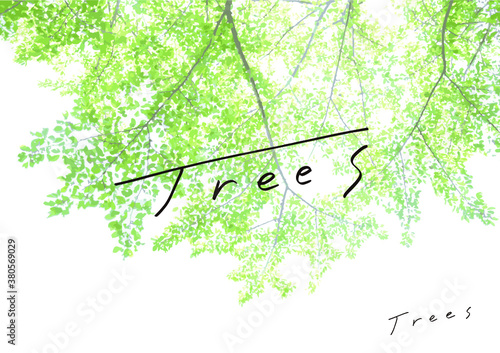 夏　木のイラスト　手書き文字　trees　 文字　手書き　手描き　素材　装飾　背景素材　爽やか　ポジティブ　明るい　前向き　朝