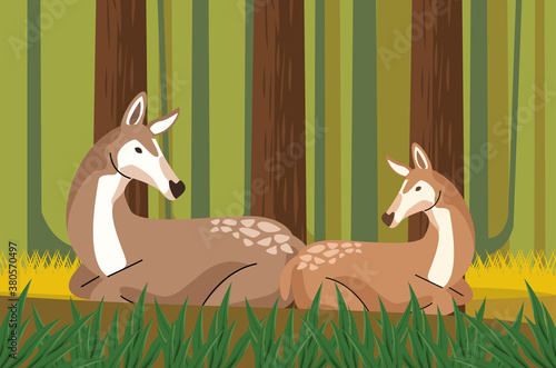 wild fawns animals in the forest scene