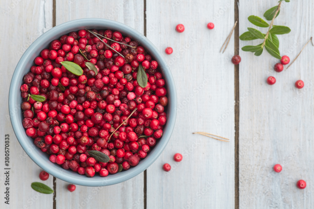 Fresh ripe forest northern lingonberries in a ceramic bowl on a white rustic plank table. Top View Fresh ripe forest northern lingonberries in a ceramic bowl on a white rustic plank table. Top View