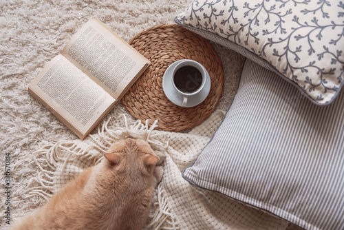 Cute ginger cat is sleeping in the bed on warm blanket. Cold autumn or winter weekend while reading a book and drinking warm coffee or tea.