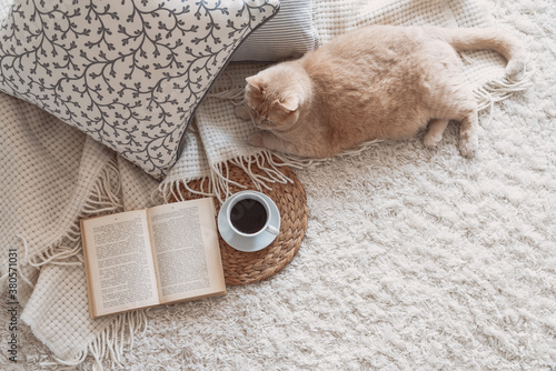 Cute ginger cat is sleeping in the bed on warm blanket. Cold autumn or winter weekend while reading a book and drinking warm coffee or tea.