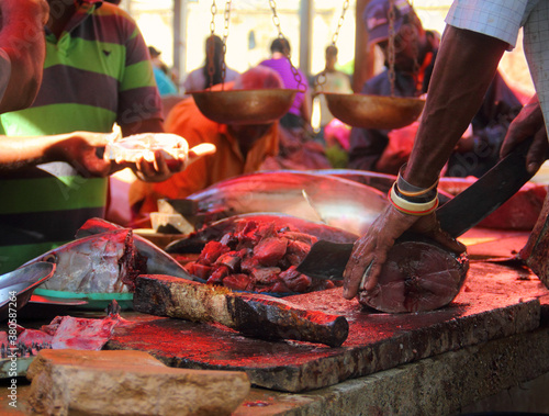 Cutting and saling the tuna on the traditional fish market in Colombo, Sri Lanka