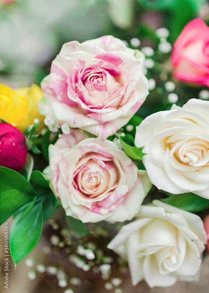 Close up of motled cream and pink roses in flowers bouquet Close up of motled cream and pink roses in flowers bouquet