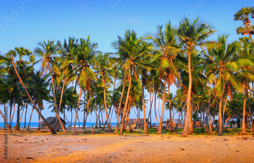 Foto Talaimannar village, Mannar island, Sri Lanka, South Asia