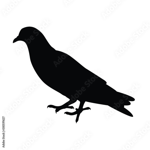 Pigeon silhouette vector