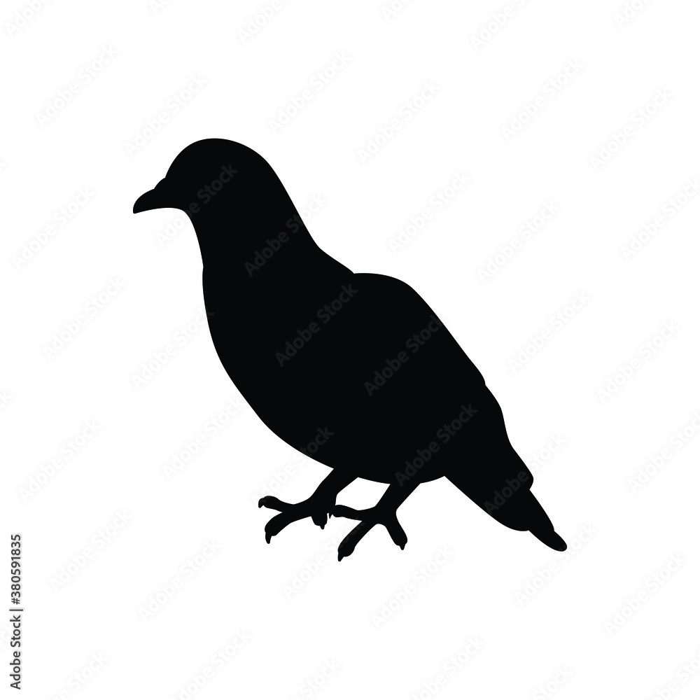 Obraz premium Pigeon silhouette vector