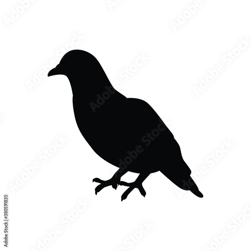 Pigeon silhouette vector