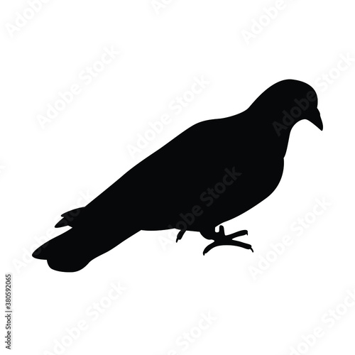 Pigeon silhouette vector