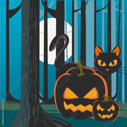 halloween pumpkins with black cat in forest at night scene